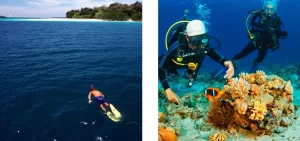 Snorkeling and Scuba Diving - Things to Do in Andamans