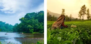 Wayanad - Honeymoon Places in South India